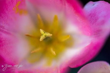 _DSC8523