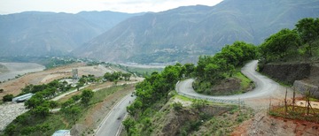 DP0Q3975