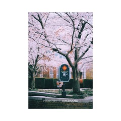 EF78EA10-4A54-44E9-8AB0-10E15E99F9C2/L0/001