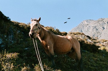 四姑娘山1604-Xtra400-03