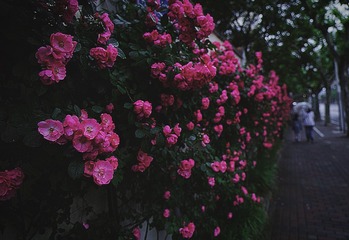 F693CD1B-CD71-42F1-8A08-22E853FBE621/L0/001