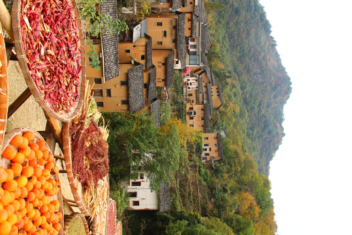每年都会去阳产一个不被大多数人知道的皖南山区的古老村落