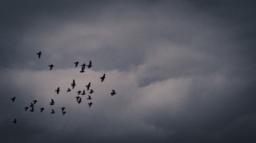 1176416