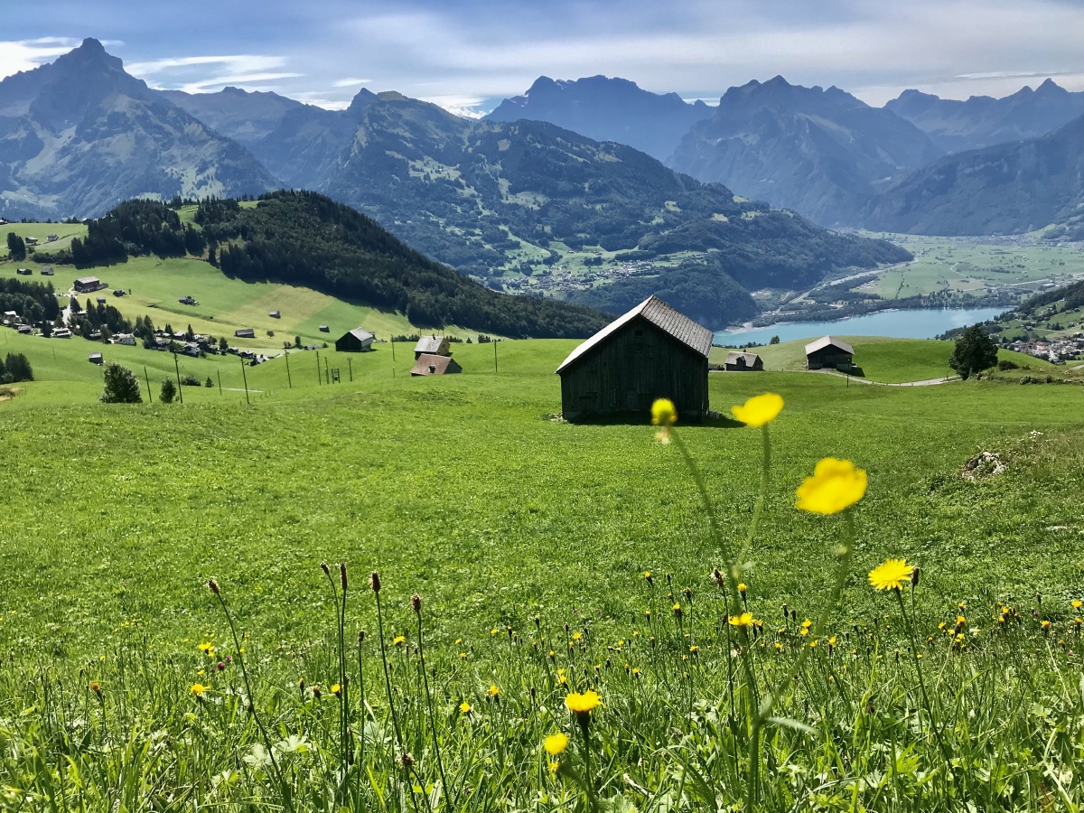 瑞士海蒂的故乡山顶上的小屋