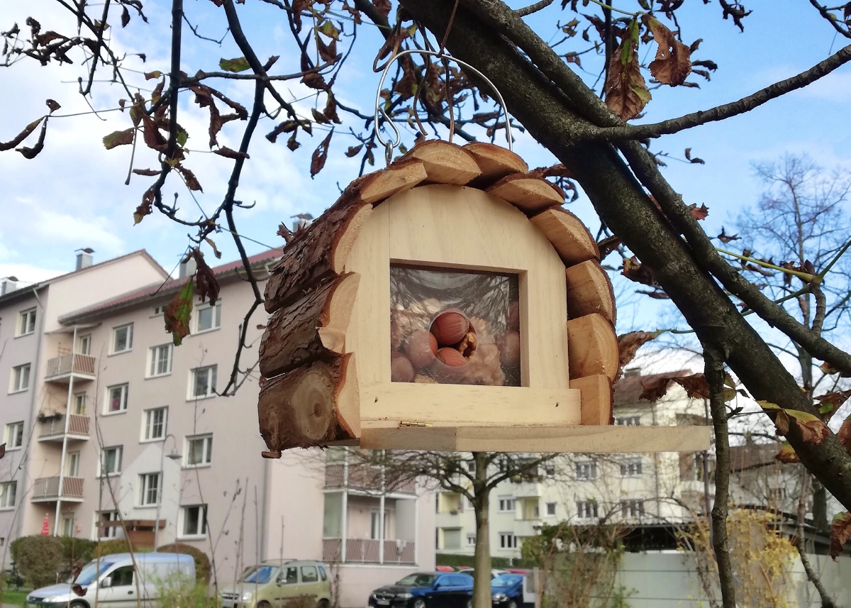 昆虫旅馆要过冬了街边的绿地上人家的庭院里常见到这些有趣的昆虫旅馆