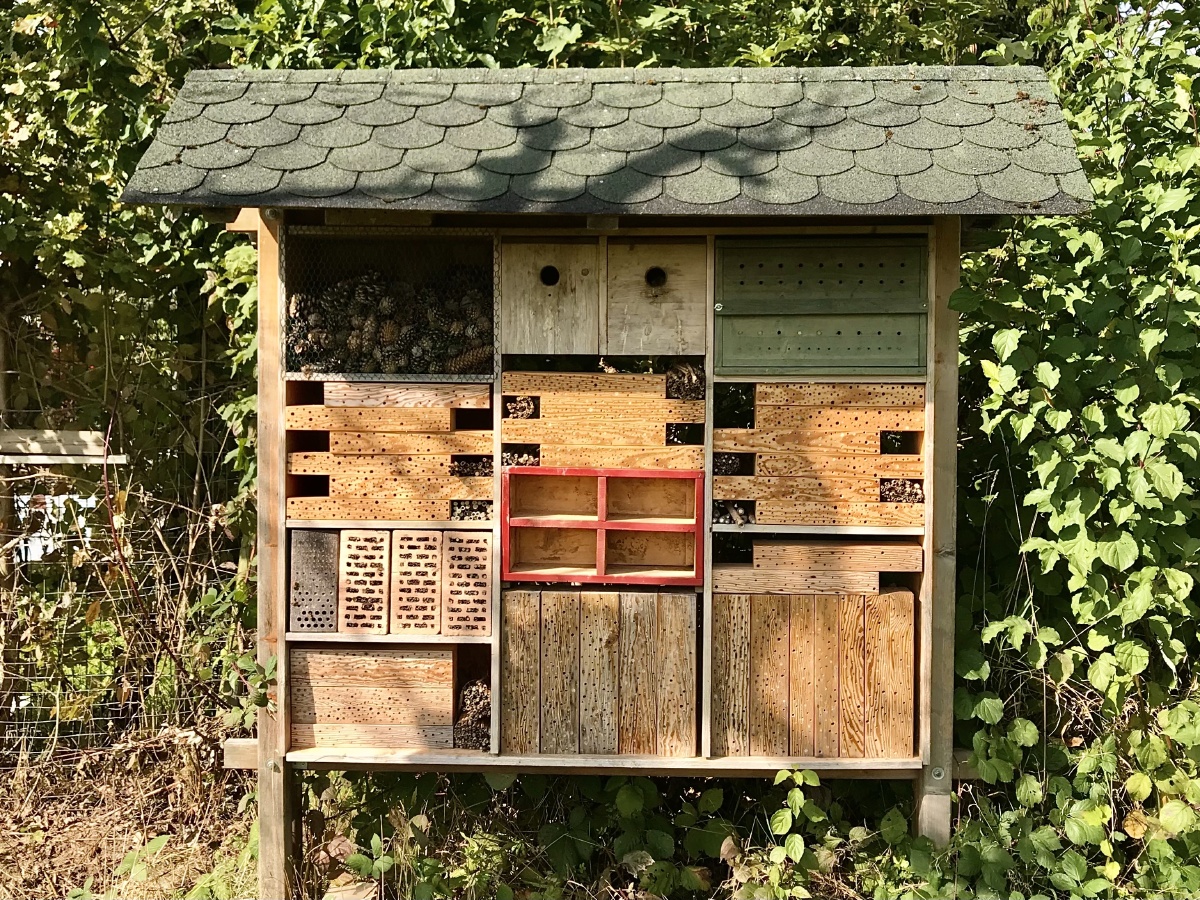 昆虫旅馆要过冬了街边的绿地上人家的庭院里常见到这些有趣的昆虫旅馆