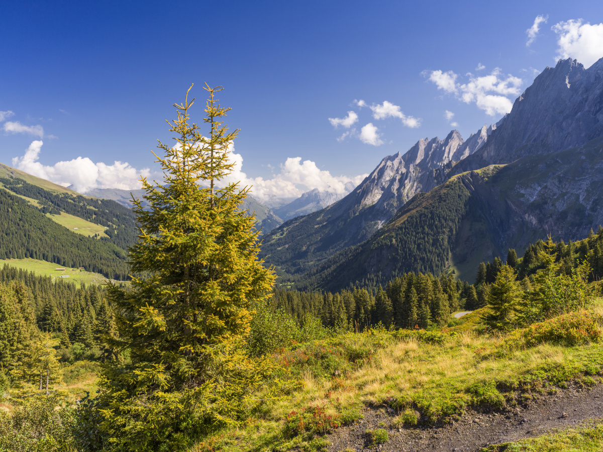 白墙青瓦马头墙绿水青山蔚蓝天