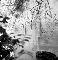 ZHOU Yang_A Garden 08