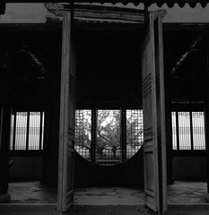 ZHOU Yang_A Garden 13