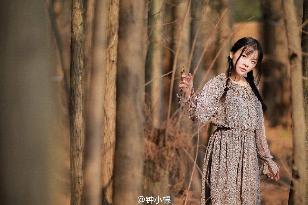 林中女钟小棵