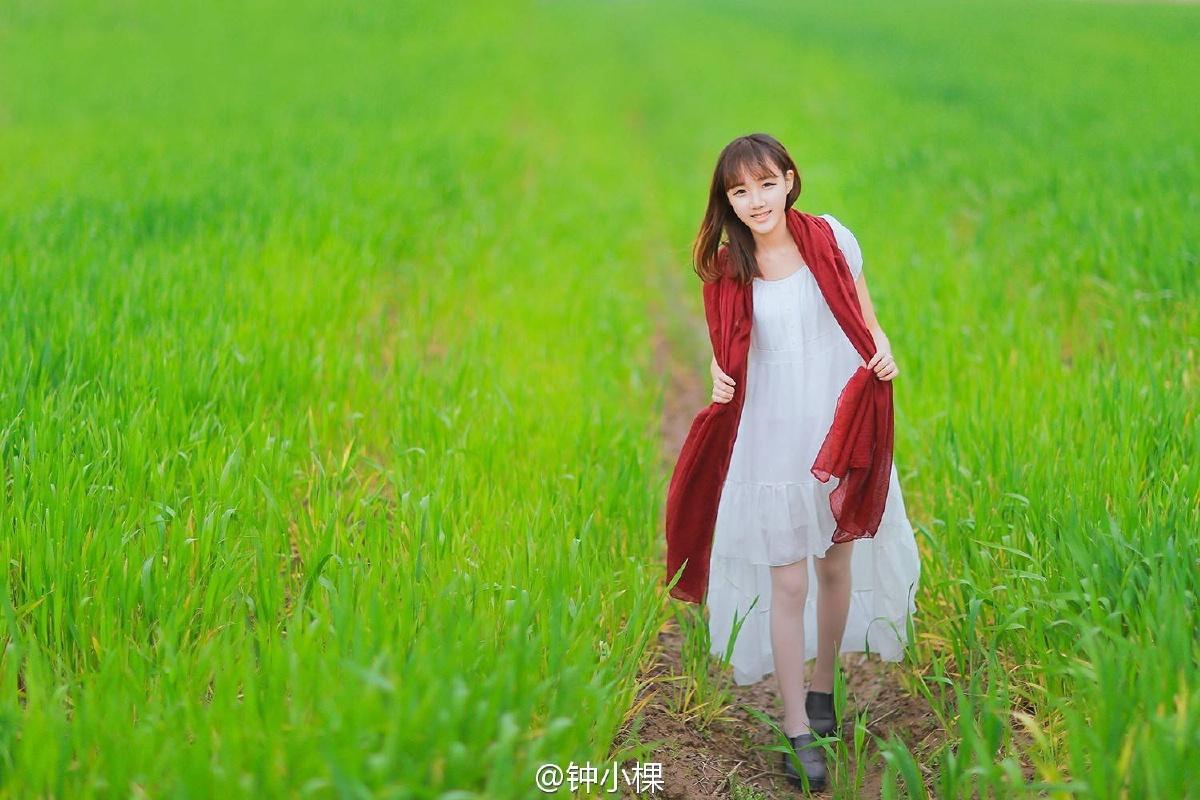 田间少女钟小棵
