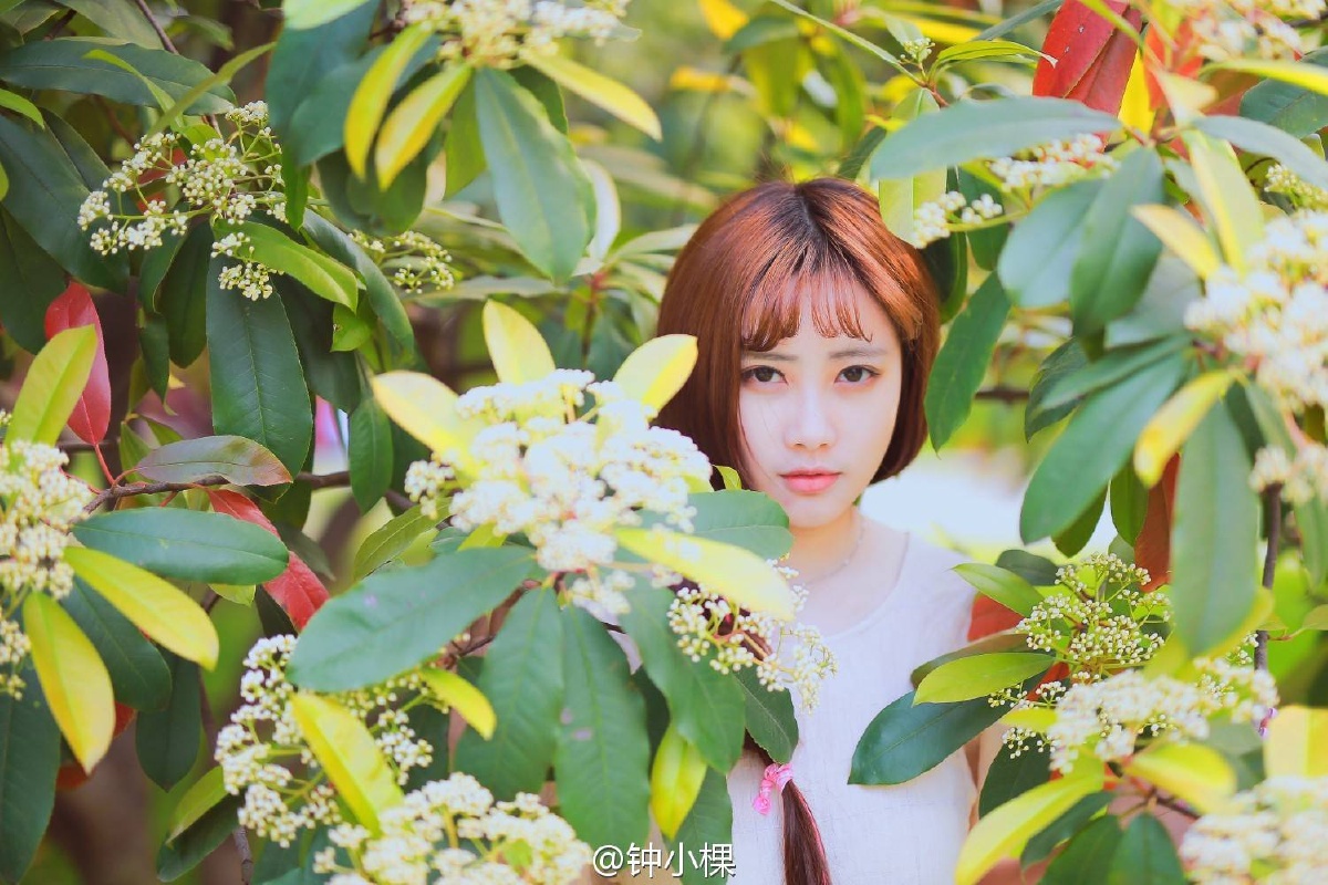 时光恋人钟小棵