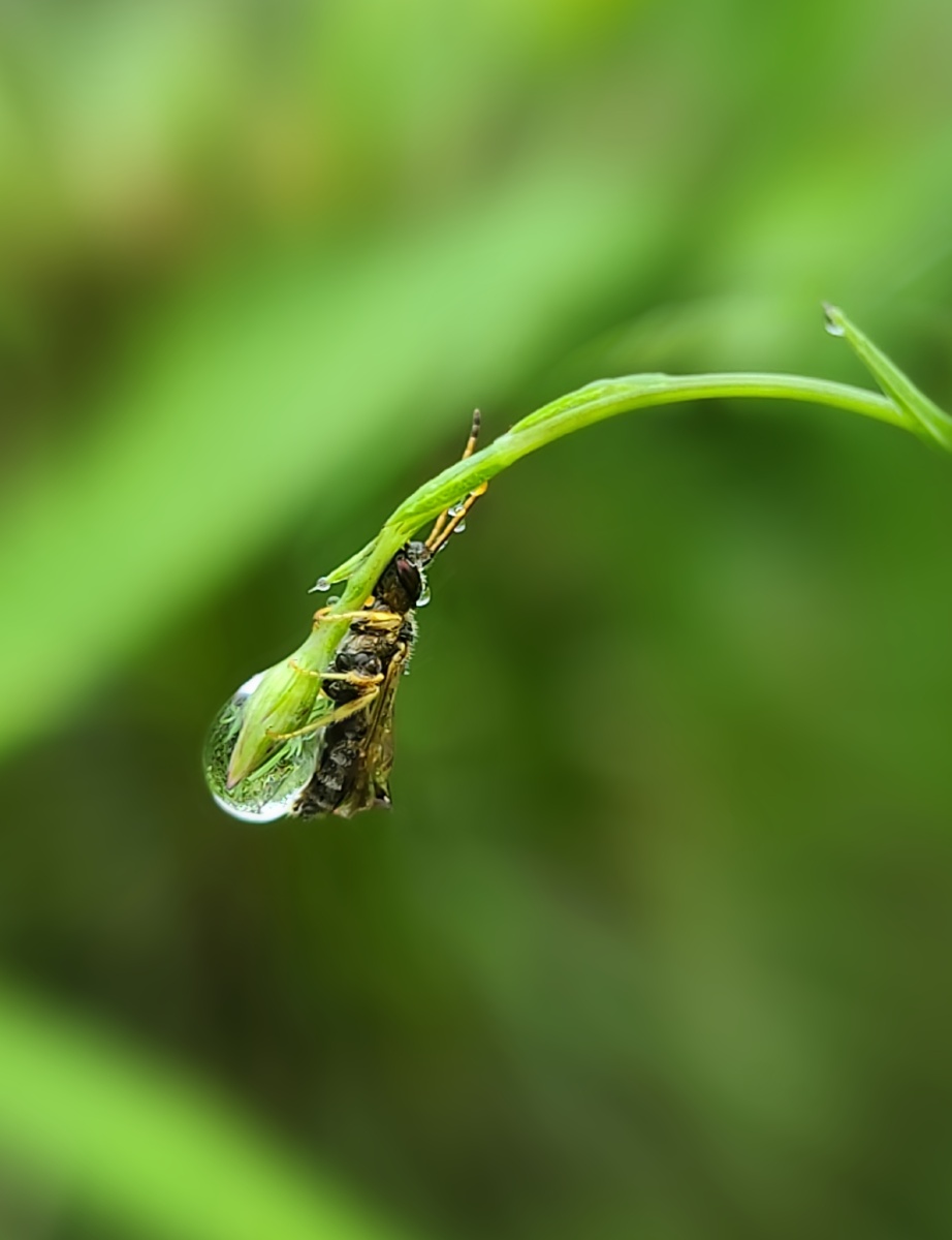 深情拥抱 - 秋歌渣拍 - 图虫