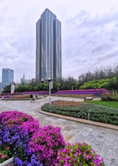 477581