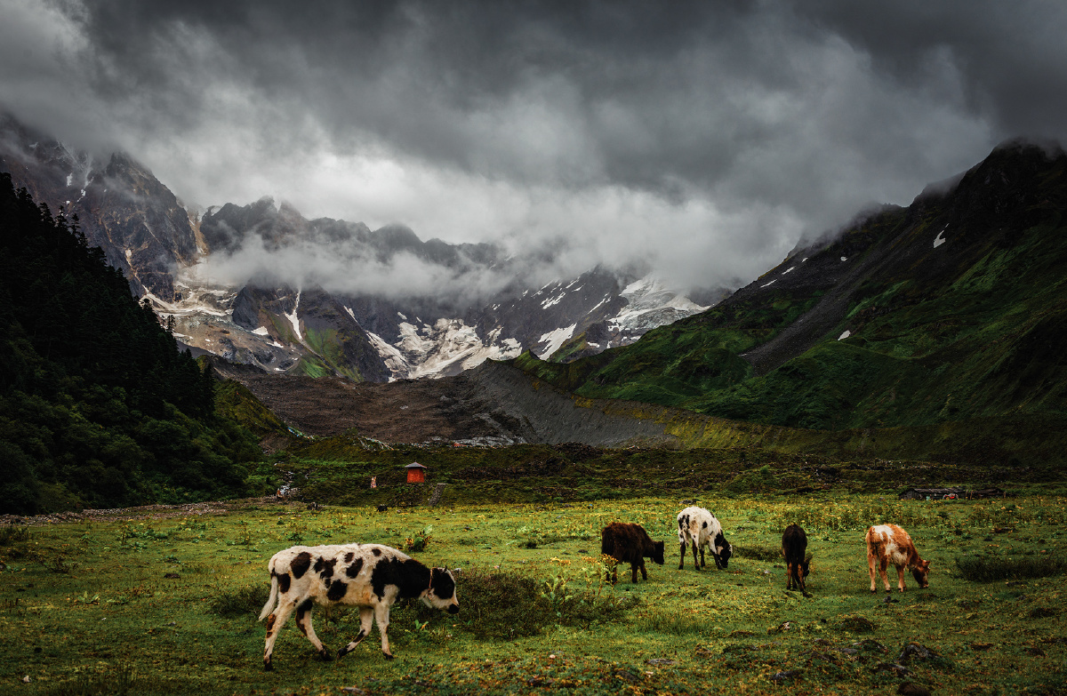 嘎瓦龙冰川(一) - 绵阳-了了 - 图虫