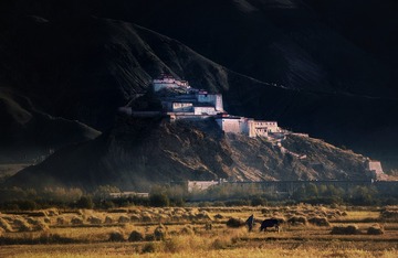 路上的风景（113）