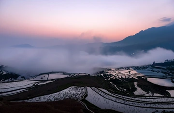 多依树梯田（1）