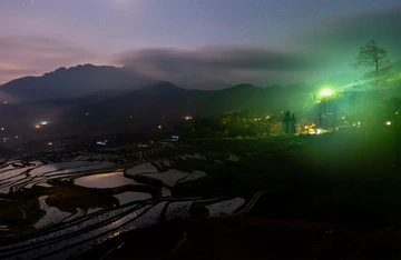 多依树梯田（12）