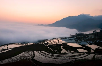 多依树梯田（4）