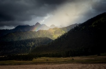 路上的风景（101）