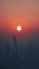 49BB40A8-C393-405F-B9DB-905FA46F6681/L0/001