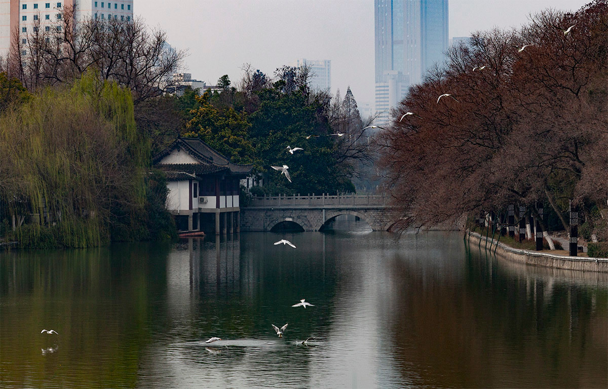合肥护城河 环城公园(叠栈摄影,5d,70-200面膜)