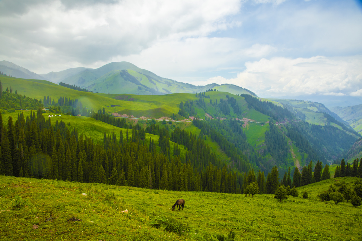 新疆精伊牧道的美景只有你去过才能真正的感受这里的美 - 小禹哥哥