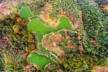 大地画板任涂鸦