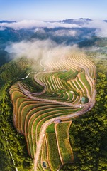 垦造水田