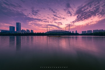 20603