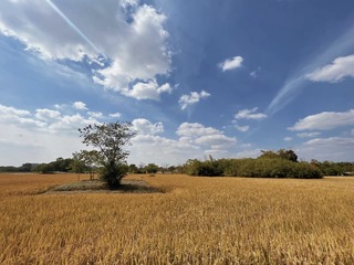 31DB1780-4C38-4C34-9137-87E905B89672/L0/001