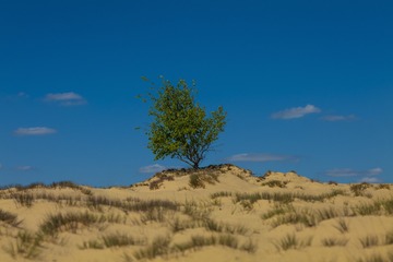 100_0022