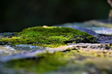 2534526