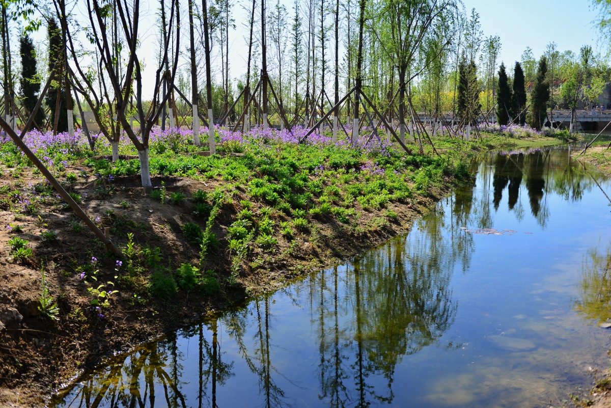 北京温榆湿地公园