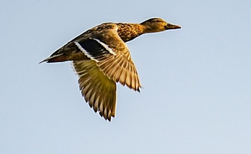 878030
