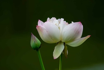 898432