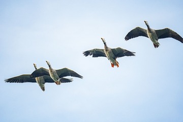 868334