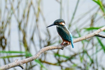 879913