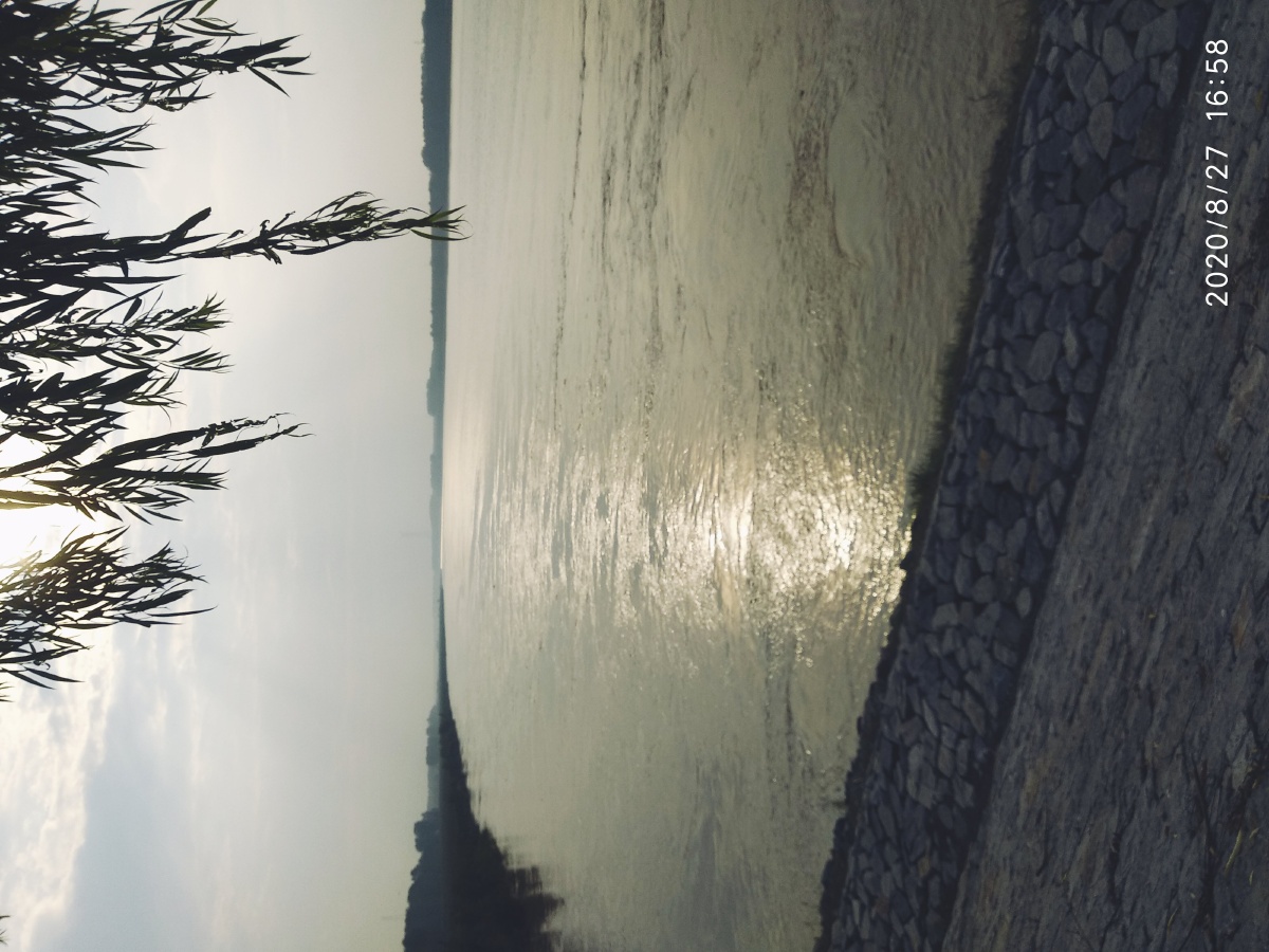 黄河边