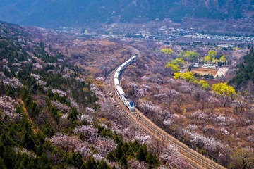 0F2112AE-ADF1-464B-ABE6-8F80454F5ECA/L0/001