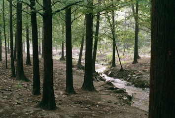 Scan-161009-0012