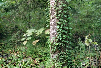Scan-161009-0015