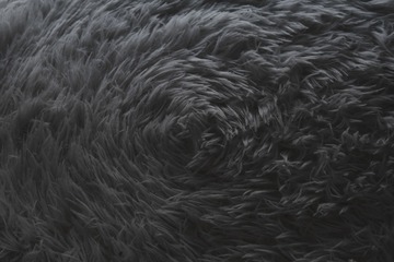 C690DA36-0734-47C2-95FB-3E9153D47A5D/L0/001