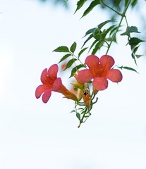 1225103