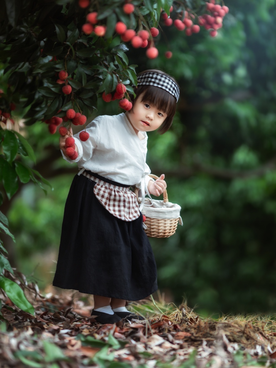 荔枝季节小女孩在果园快乐采摘荔枝