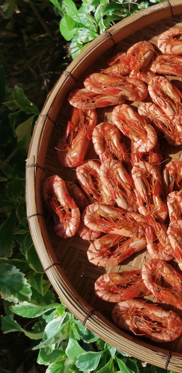 海鲜虾