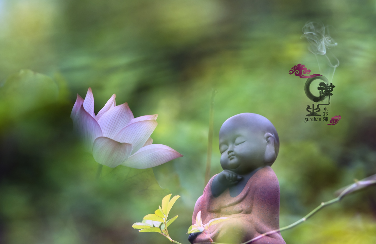 将参禅的小沙弥和不染尘埃的荷进行组合,表达对极致美好的向往.