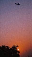 5C9C7E31-1663-46DA-88DD-1A67D721C5B2/L0/001