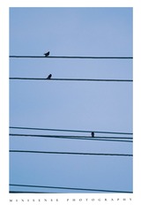 C4A1EE00-A2F8-42F5-BBBF-53F1ECF67509/L0/001