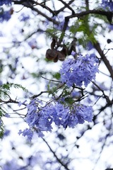 C40313A9-12BB-45AA-AF4B-9ABEE775F308/L0/001